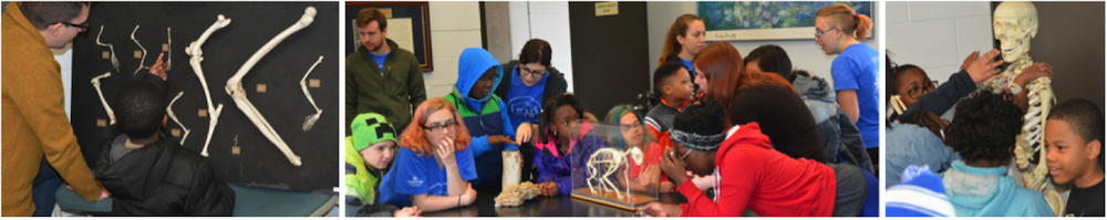 students and fossils