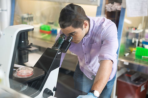 A student in a lab looking into a microscope.