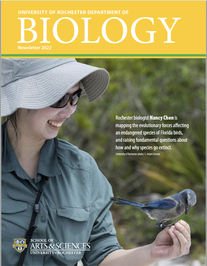 newsletter cover