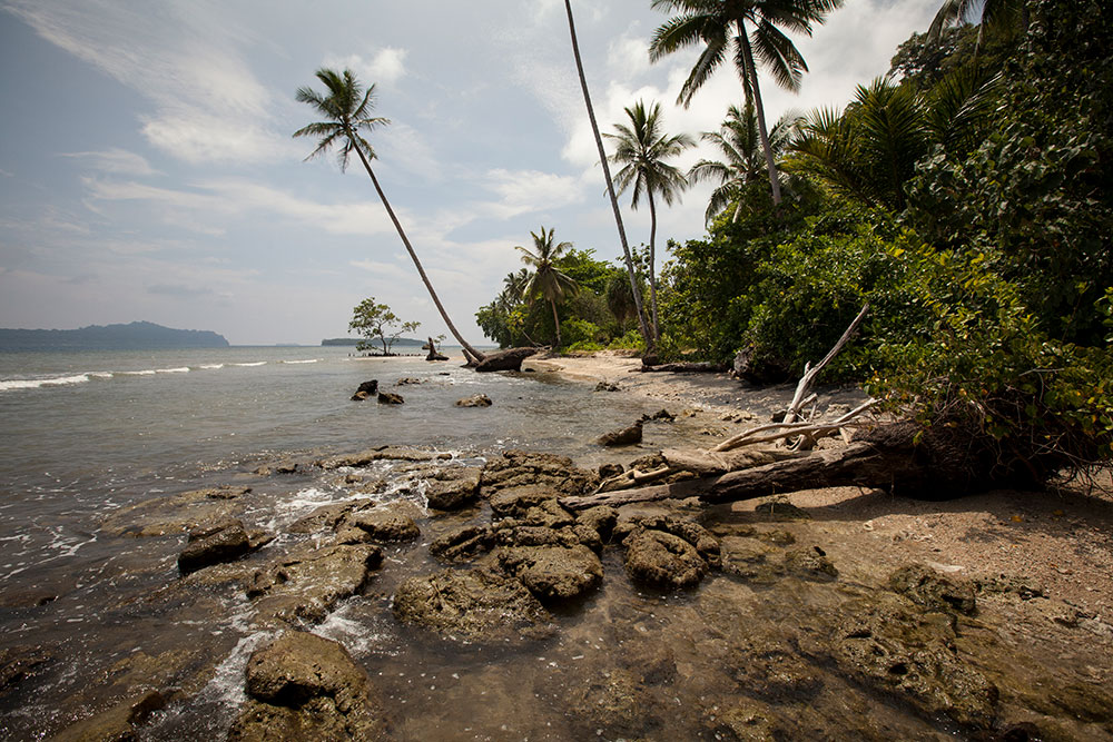 A typical shoreline of the Solomon Islands.