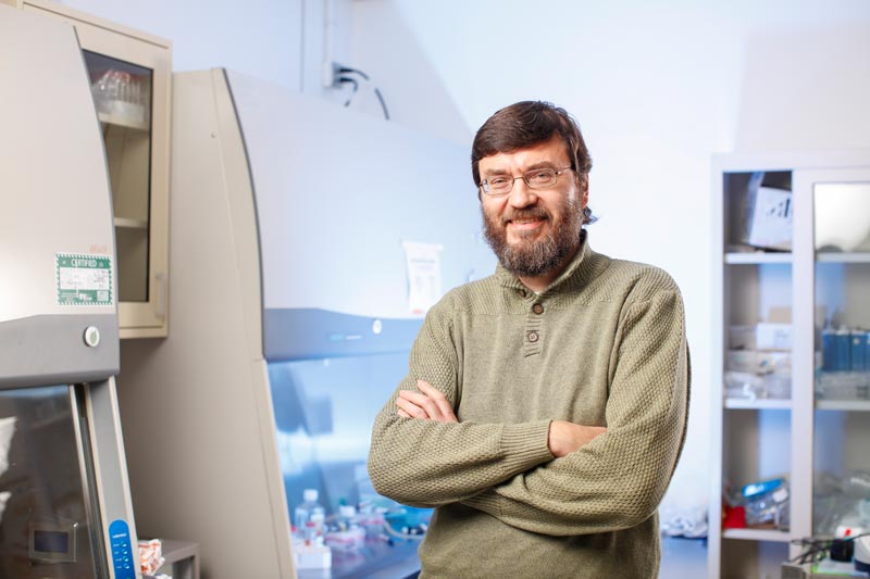 Dr Andrei Seluanov
