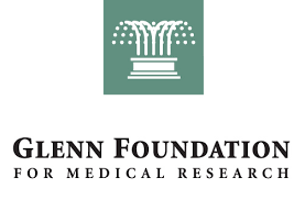 Glenn Foundation