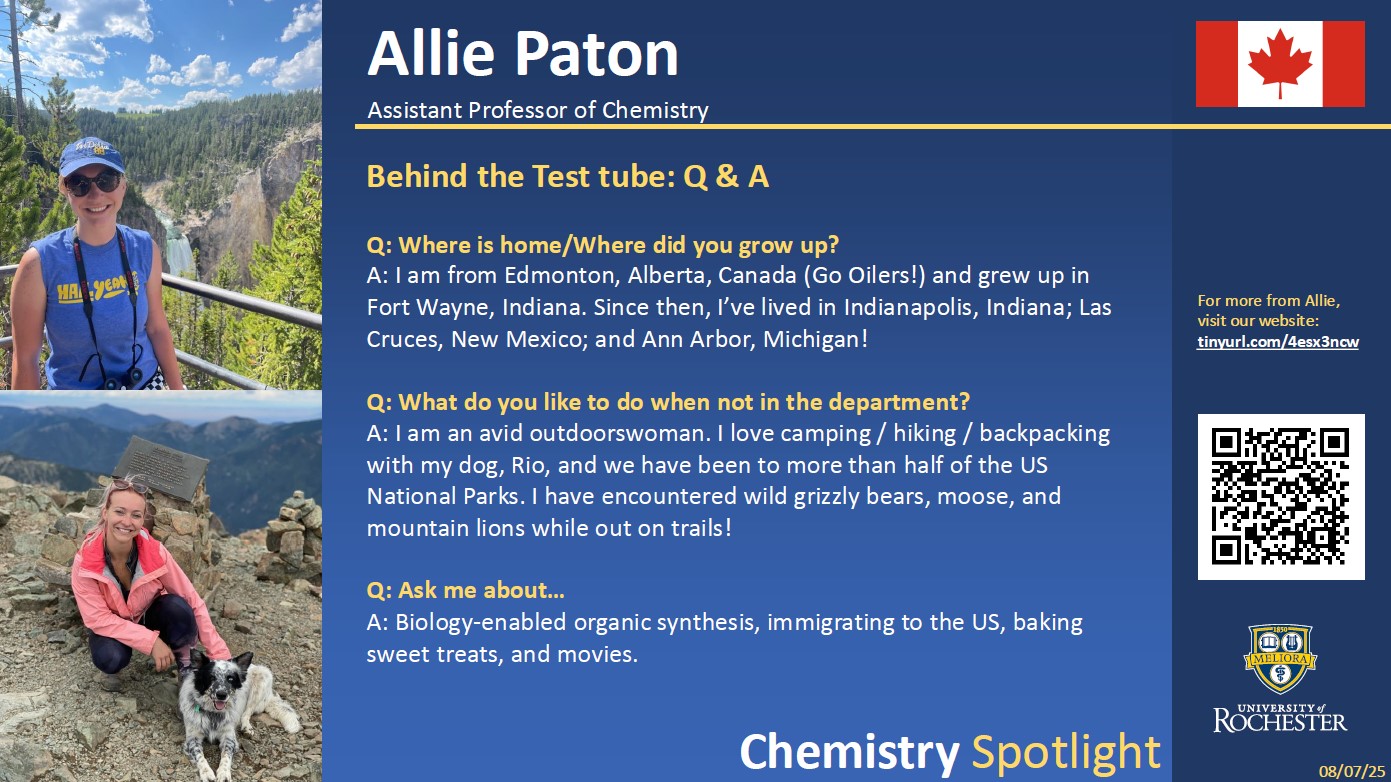 A poster featuring the person's image and the answer to three profile questions, written on page.
