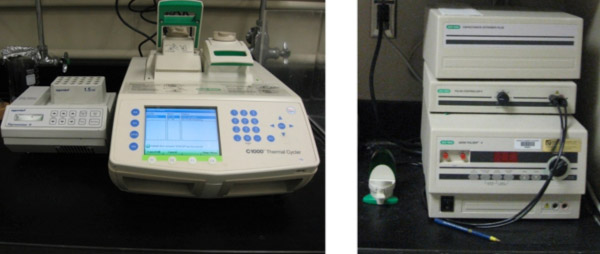 BioRad C1000 thermal cycler;  Eppendorf heating block;  BioRad GenePulse II electroporator