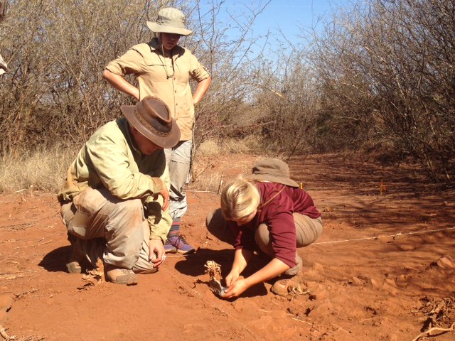 Orienting samples