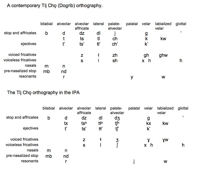 Orthography For Tlį Chǫ Dogrib Dene Speech Atlas Joyce Mcdonough