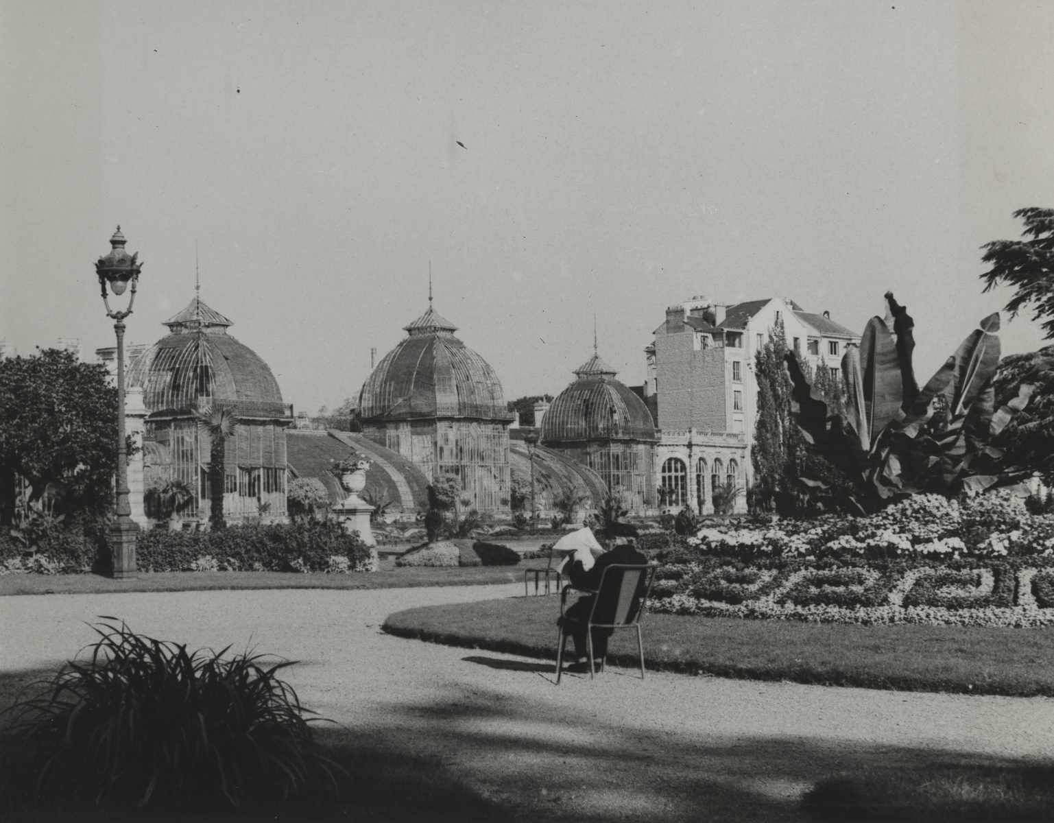 black and white photo of a man sitting reading a newspaper in a garden, three greenhouses and a larger building are in the background