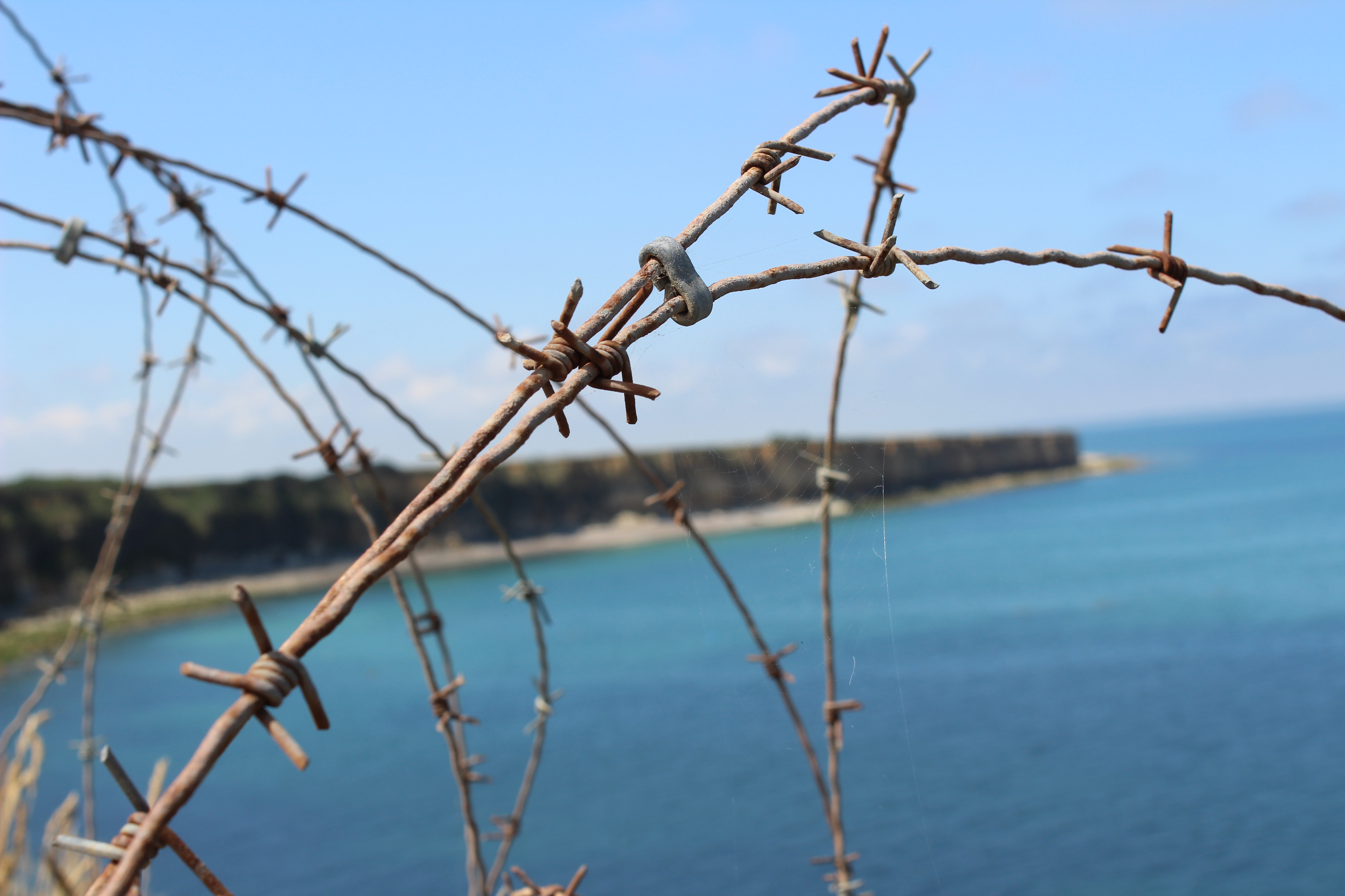 close-up of barbed wire with a seashore in the background