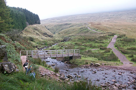 Couple walking a path through hills.