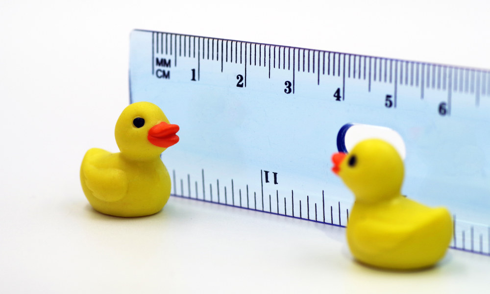 Two small rubber ducks in front of a ruler.