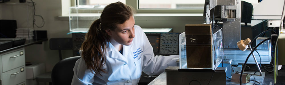 Student conducting research in a lab.