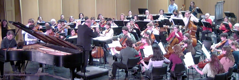 Orchestra playing different types of string instruments.