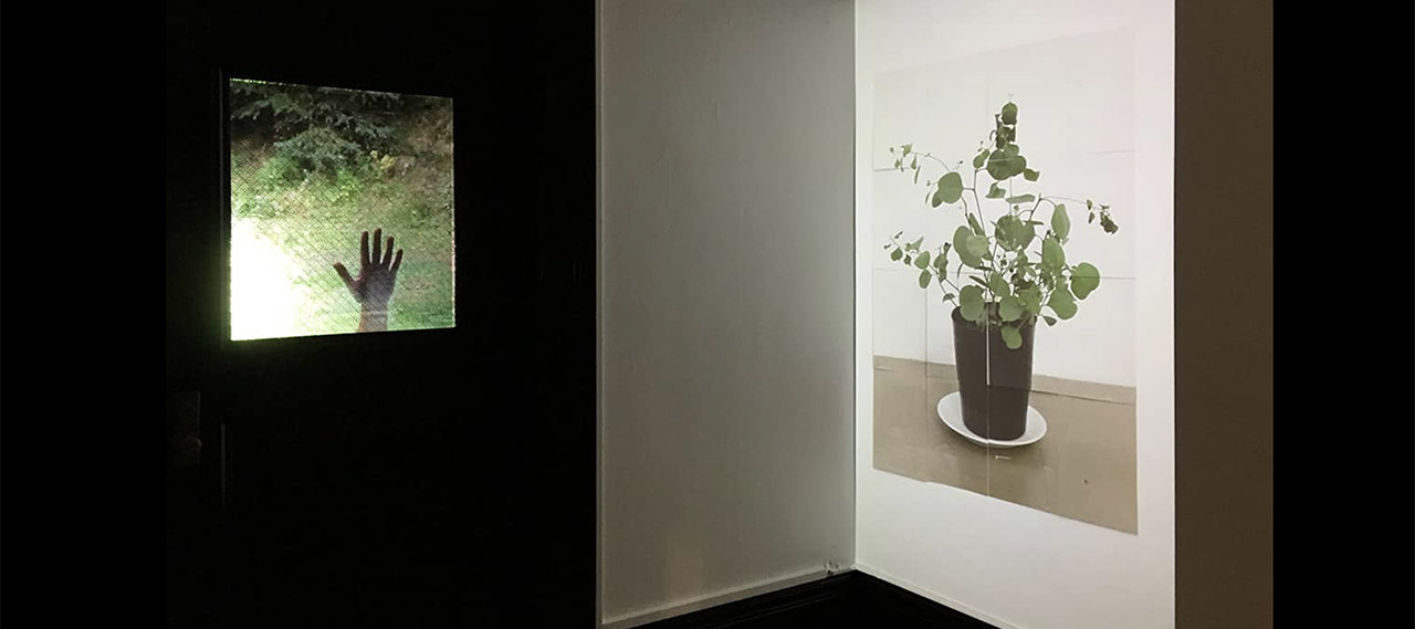 Installation view of digital art works by Professor Evelyne Leblanc-Roberge