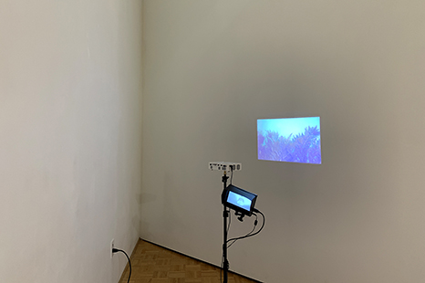Installation view of a digital work by Professor Evelyne Leblanc-Roberge