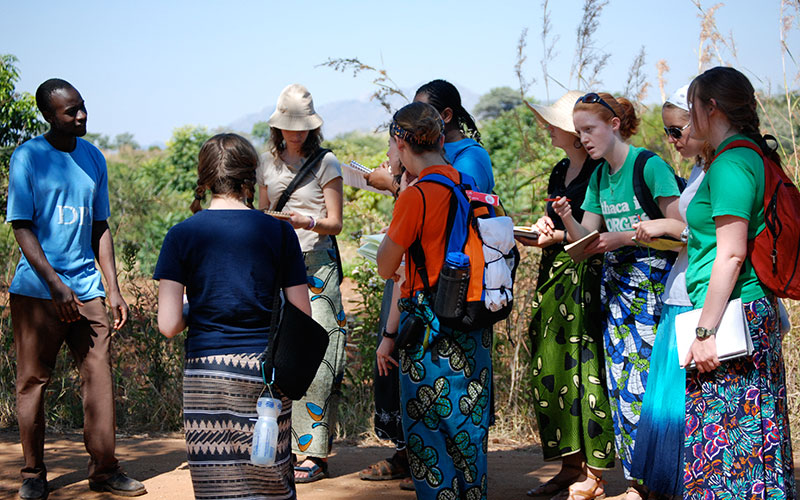 Students doing fieldwork abroad.