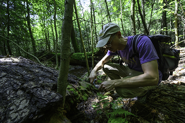 A biology student collecting samples in a forest setting.