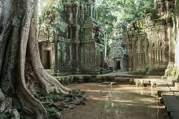 A computer-generate image of abandoned buildings in a jungle setting.