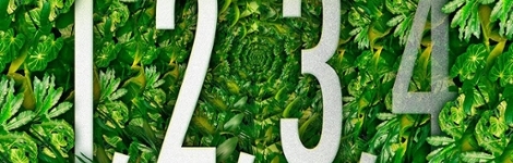 Numbers