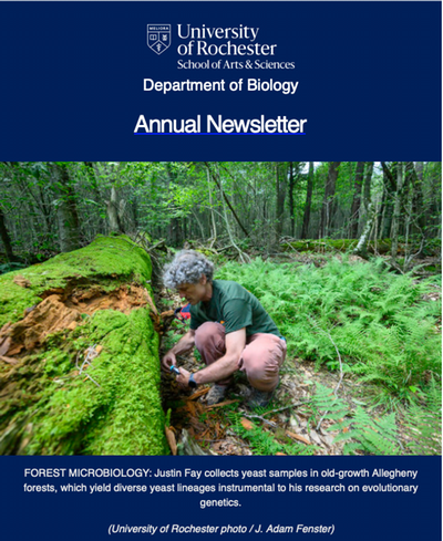 newsletter cover