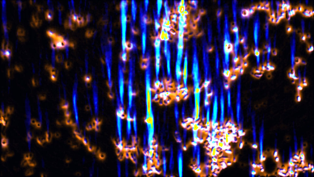 Biobeams by Lynn Sidor.