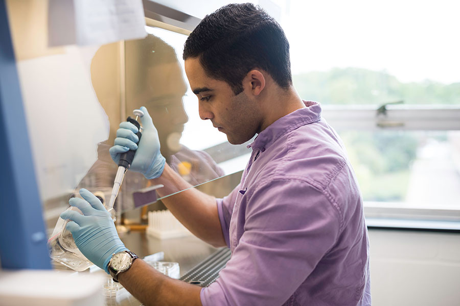 A student is seen pipetting cells in a lab.