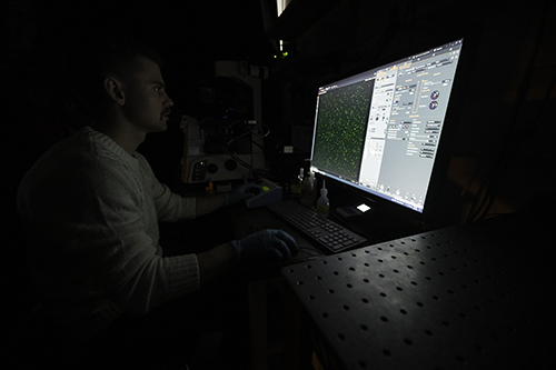 A person working in a darkened room on a computer.