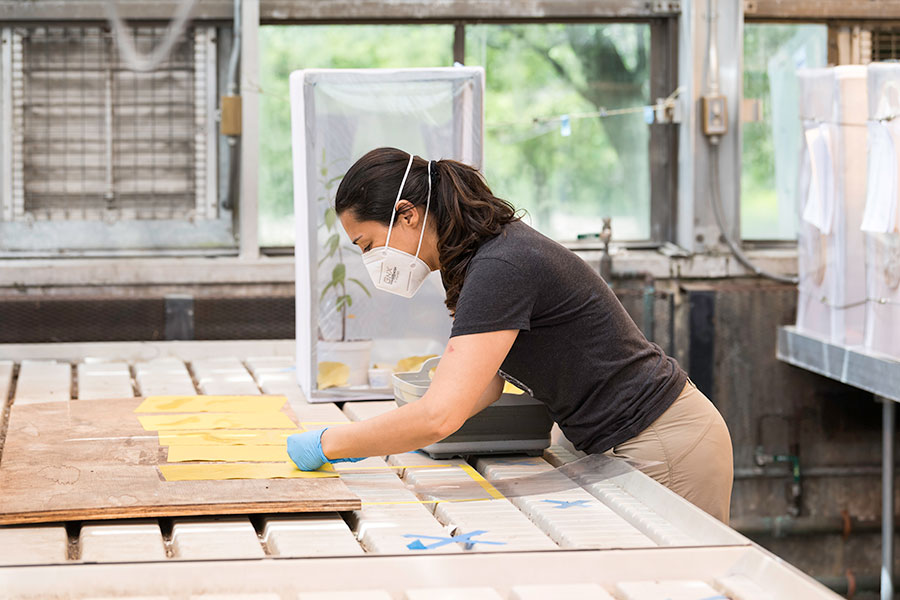 A student working in a lab.