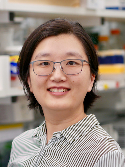 Ning Wang, PhD