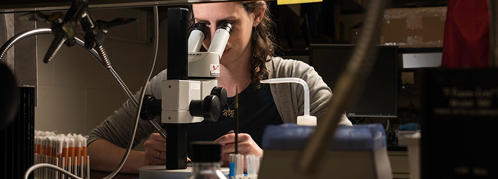 Students in lab