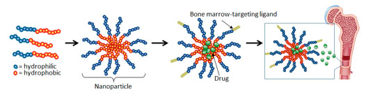 Micelle Diagram