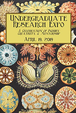 Undergraduate Research Expo