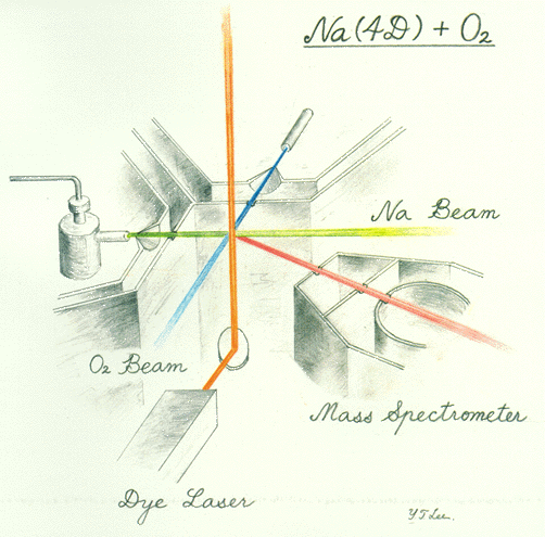 Sketch by Professor Y. T. Lee