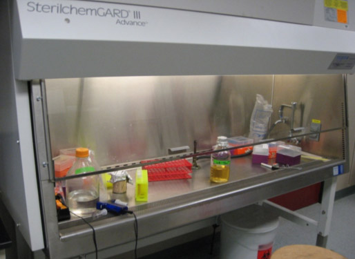 Class II biosafety cabinet