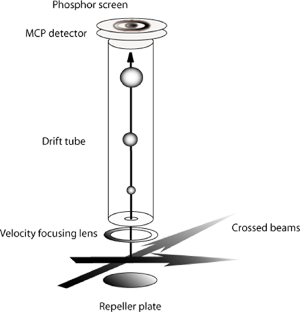 Fig. 1