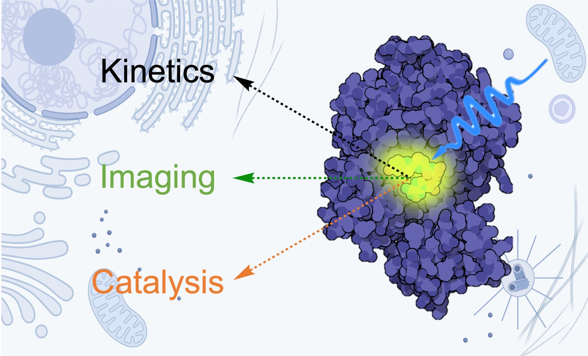 A graphic image depicting the kinetics, imaging, and catalysis of a chemical reaction.