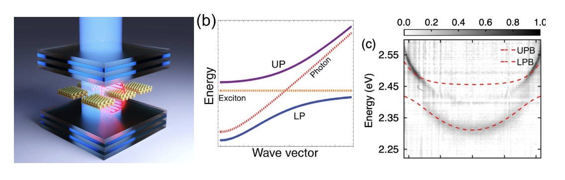 Coupling the electronic states of nanocrystals to an optical cavity creates hybrid light-matter states called polaritons.