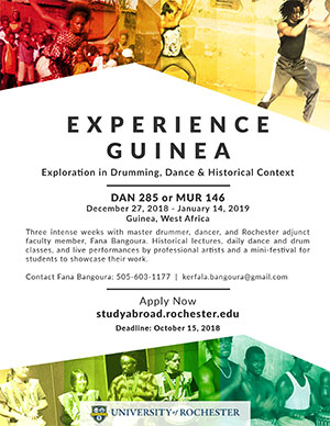 Guinea Africa Flyer