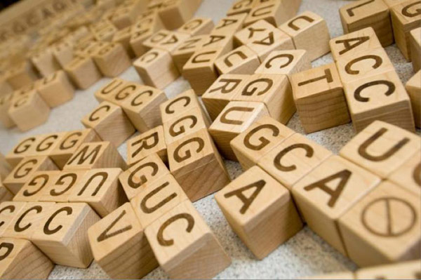child'sbuilding blocks with the letters A T G C representing DNA