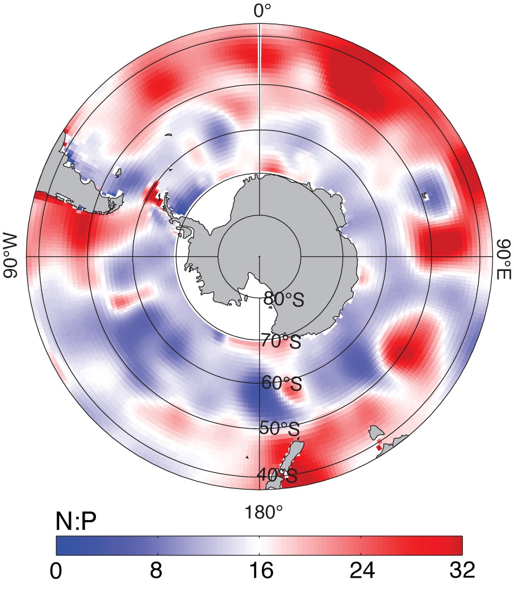N:P ratio of exported organic matter in the Southern Ocean, diagnosed in an ocean circulation model. Figure adapted from Weber & Deutsch, 2010.