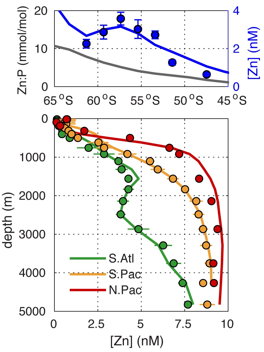 Inverse model (lines) fit to [Zn] data (dots) in the surface Southern Ocean (top) and through the water column in the Atlantic and Pacific Oceans (bottom). A combination of surface nutrient consumption, reversible scavenging, and large-scale ocean circulation controls this distribution. Figure adapted from Weber et al., 2018.