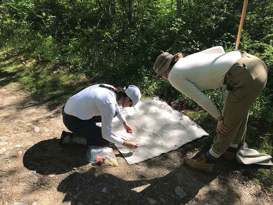 Amanda Waugh picking ticks.