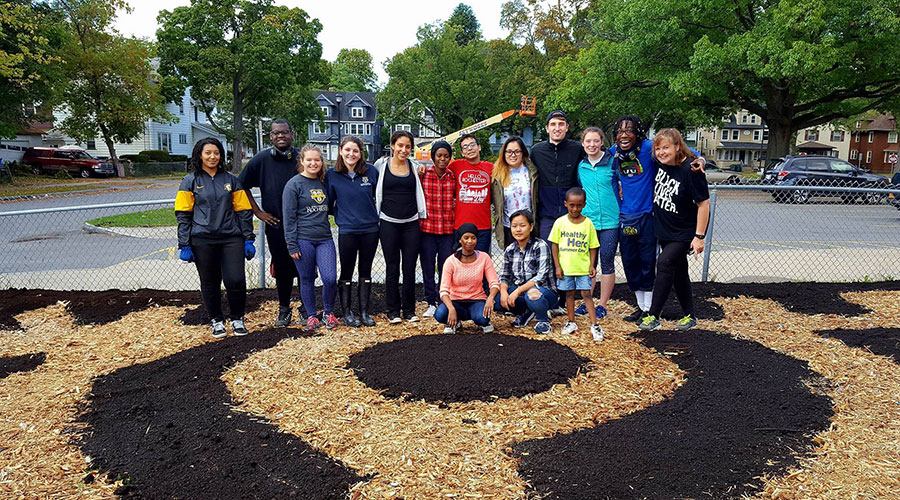 Community gardening