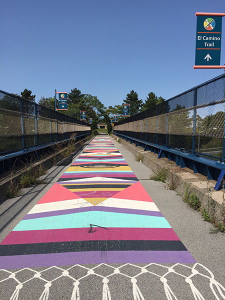 El Camino Trail, "The Rug".