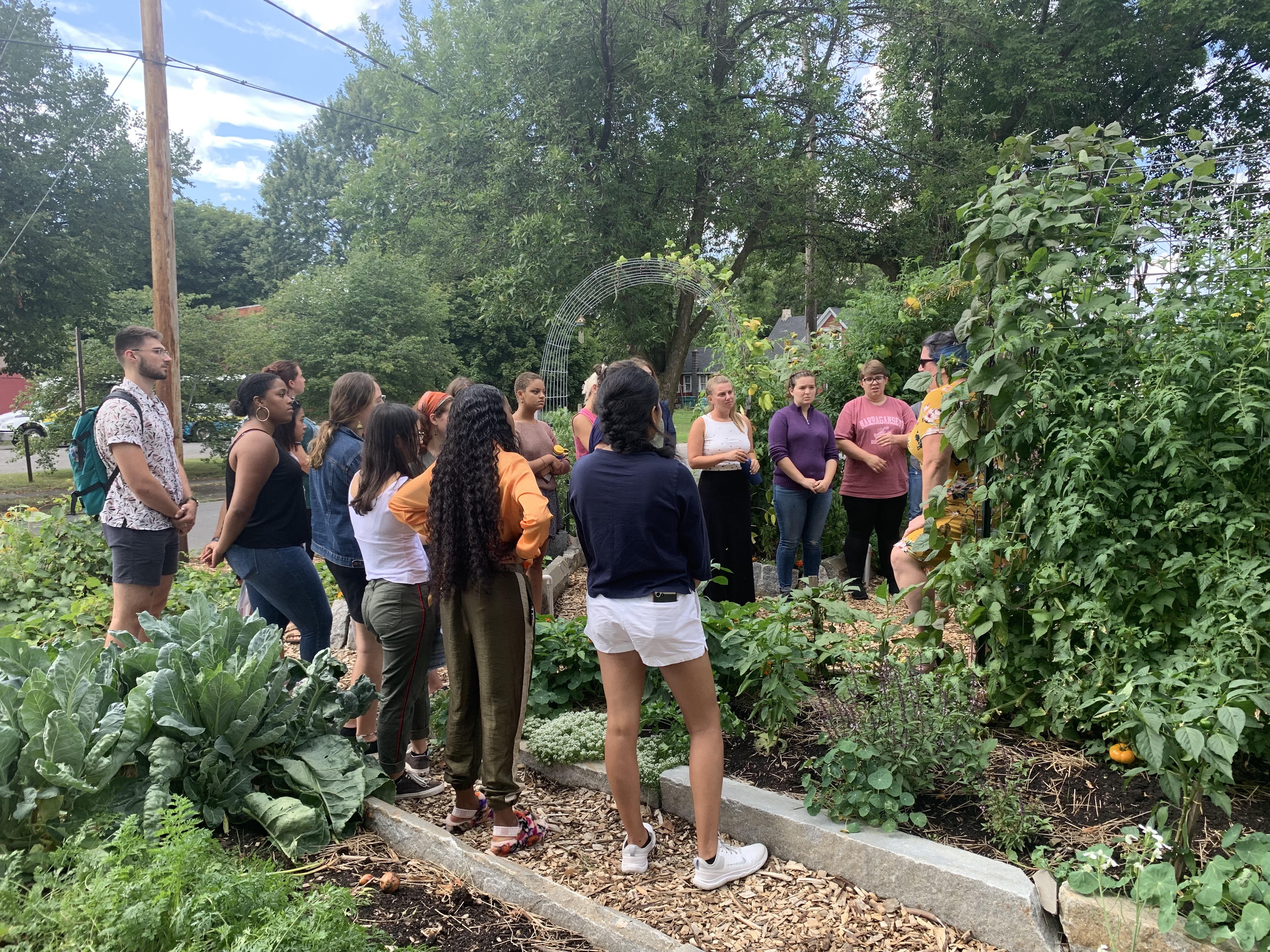 Students standing in a community garden