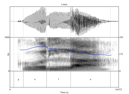 l-stem