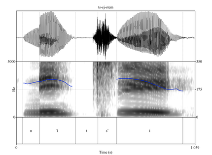 ts-ej-stem