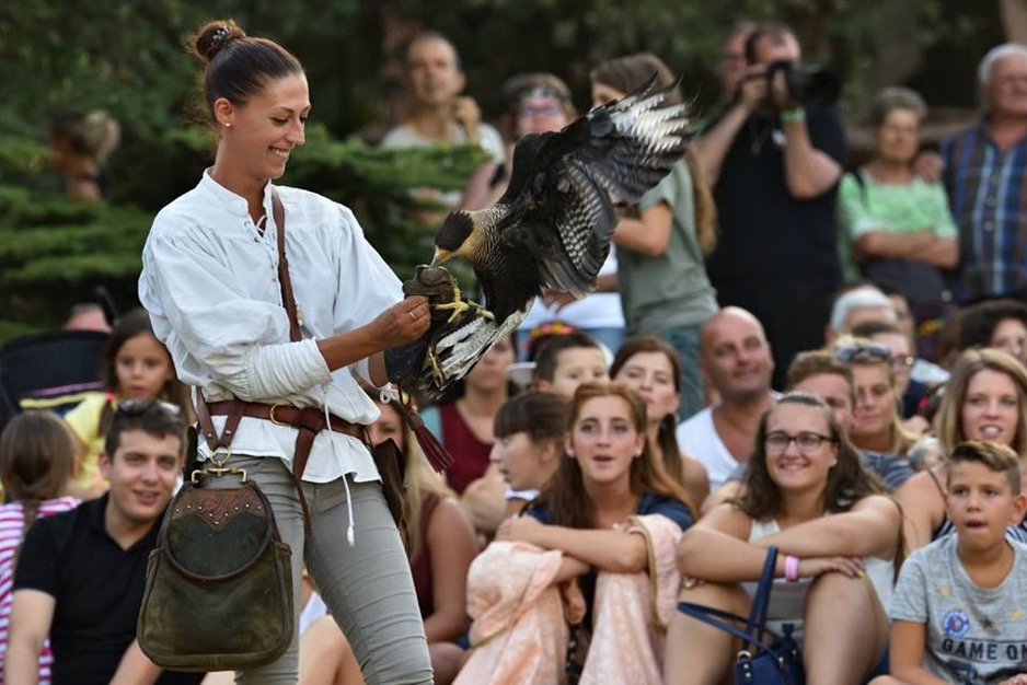 A woman holding a bird.