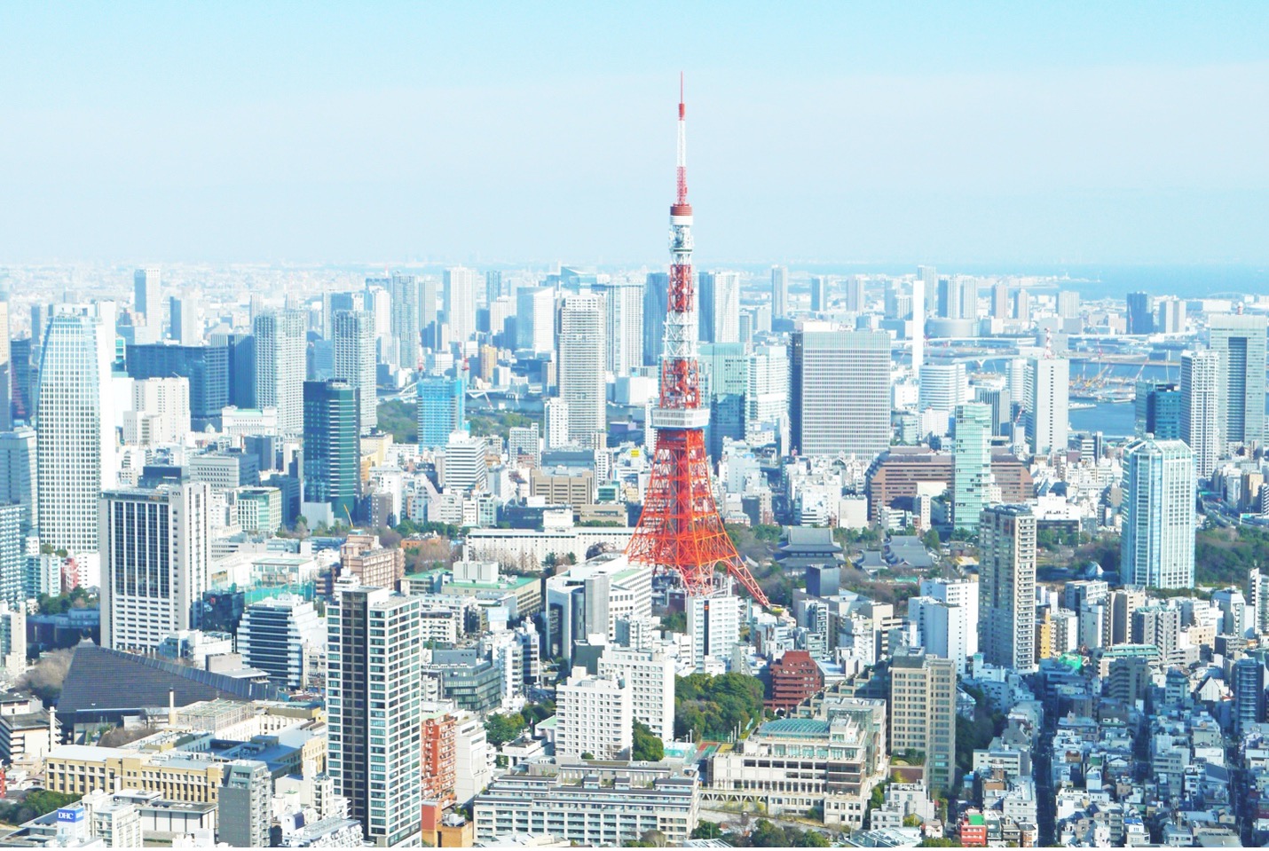 An aerial view of the Tokyo skyline.