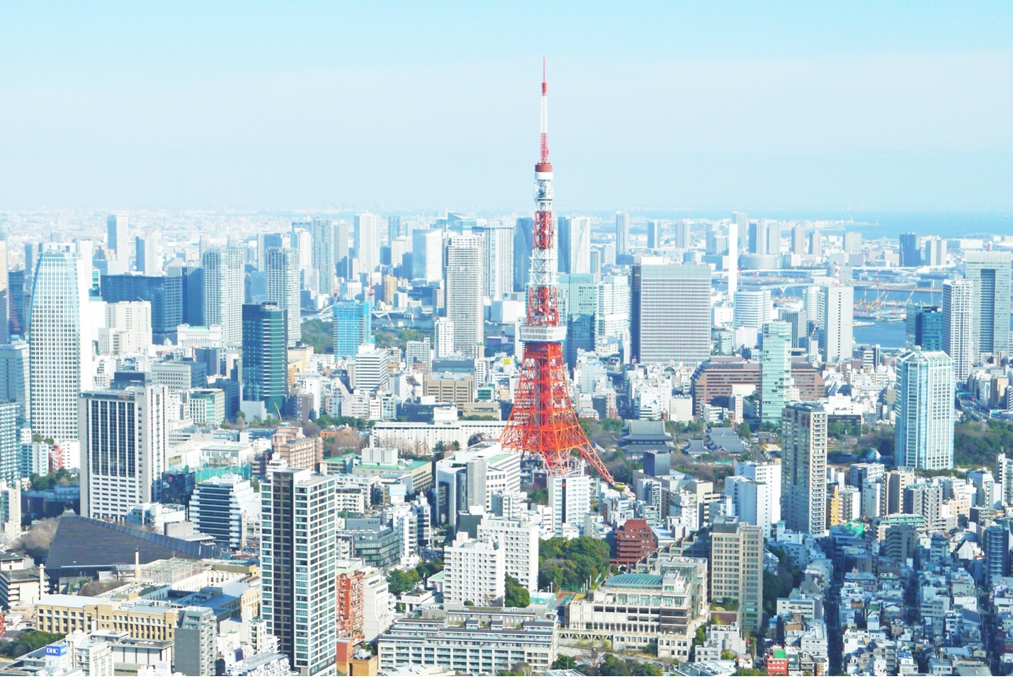 An aerial view of the Tokyo skyline.