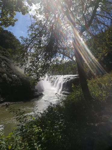 waterfall and rays of sun shining through foliage